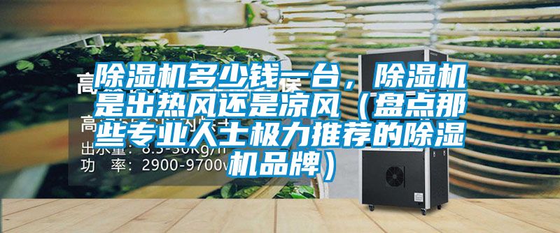 除濕機多少錢一臺，除濕機是出熱風還是涼風（盤點那些專業人士極力推薦的除濕機品牌）