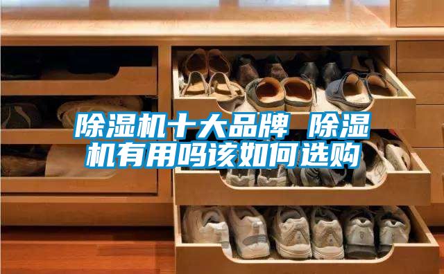 除濕機(jī)十大品牌 除濕機(jī)有用嗎該如何選購(gòu)