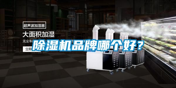 除濕機品牌哪個好?