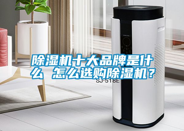除濕機(jī)十大品牌是什么 怎么選購除濕機(jī)？