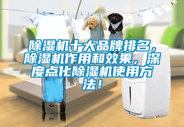 除濕機十大品牌排名，除濕機作用和效果，深度點化除濕機使用方法！