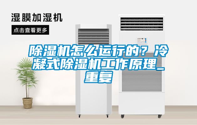 除濕機怎么運行的？冷凝式除濕機工作原理_重復(fù)