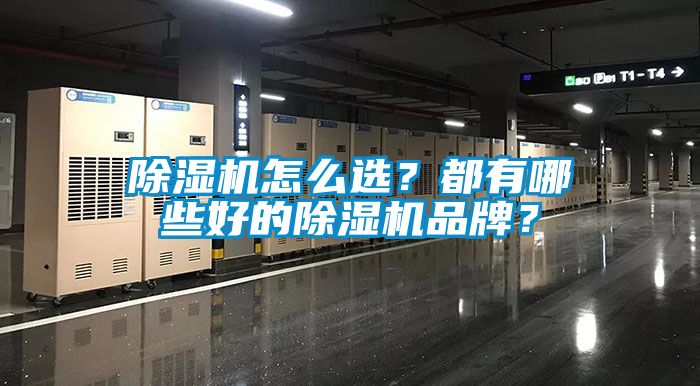 除濕機怎么選?都有哪些好的除濕機品牌?