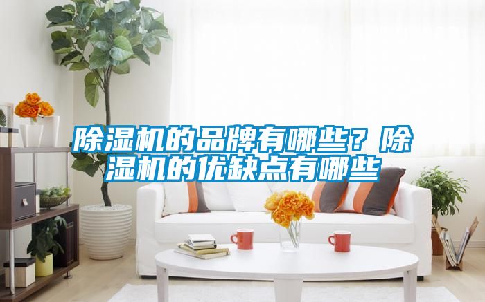 除濕機的品牌有哪些?除濕機的優缺點有哪些