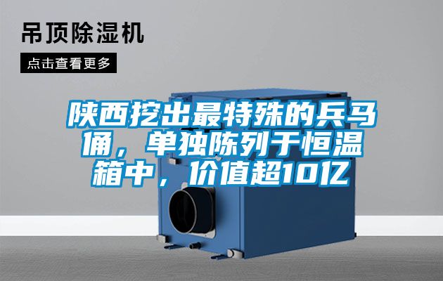 陜西挖出最特殊的兵馬俑,單獨陳列于恒溫箱中,價值超10億