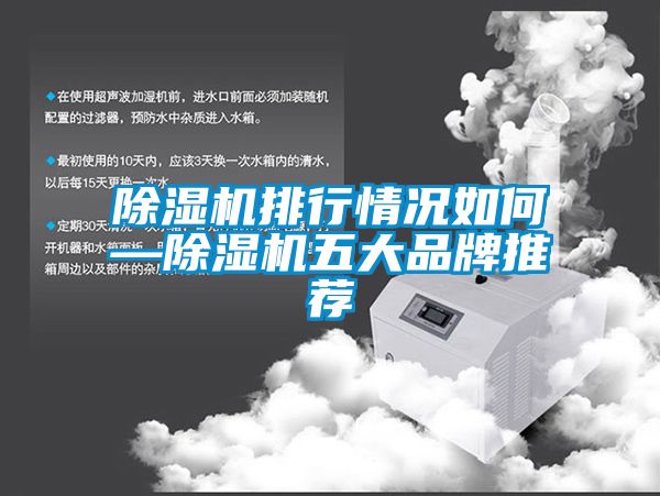 除濕機排行情況如何—除濕機五大品牌推薦