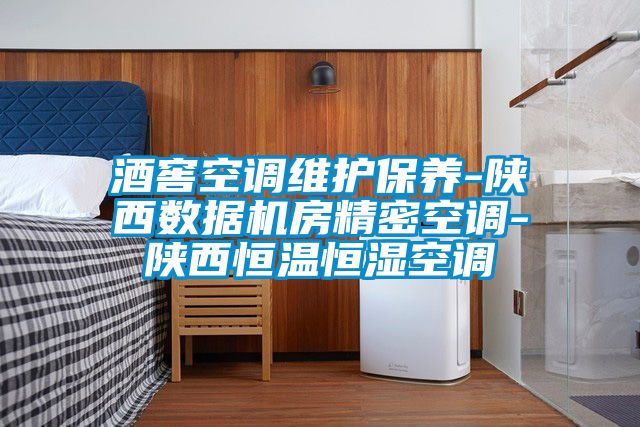 酒窖空調維護保養(yǎng)-陜西數(shù)據(jù)機房精密空調-陜西恒溫恒濕空調