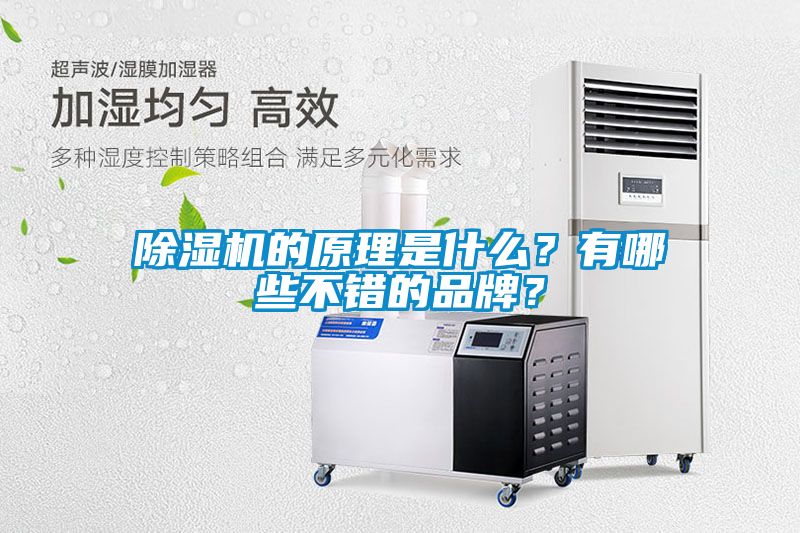 除濕機的原理是什么？有哪些不錯的品牌？