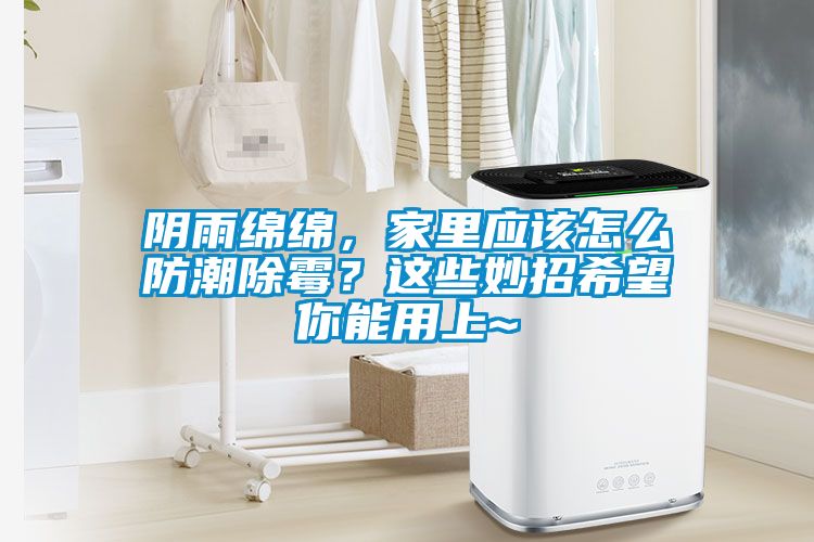 陰雨綿綿，家里應該怎么防潮除霉？這些妙招希望你能用上~