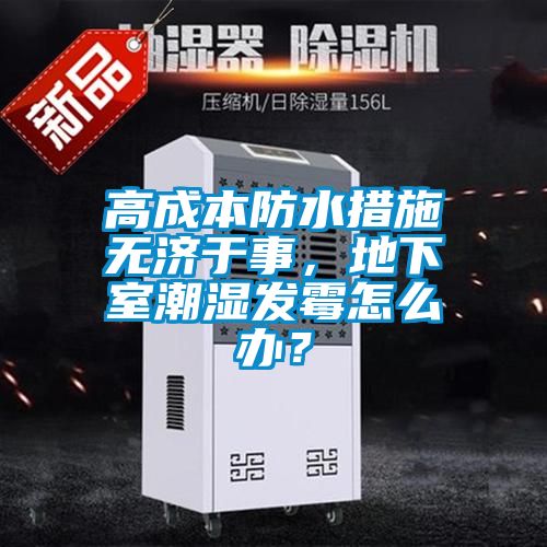 高成本防水措施無濟于事，地下室潮濕發霉怎么辦？