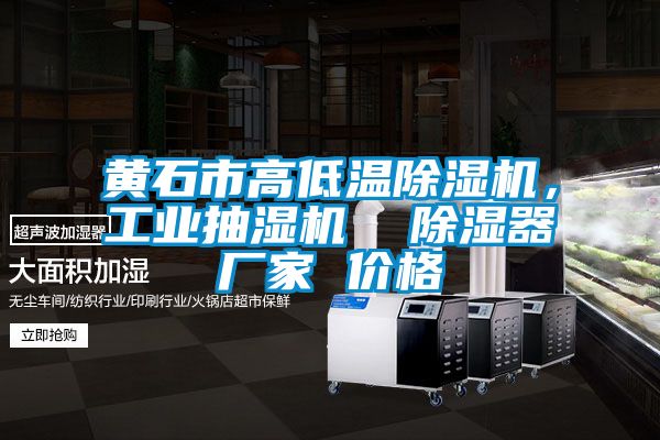 黃石市高低溫除濕機(jī),工業(yè)抽濕機(jī) 除濕器廠家 價格