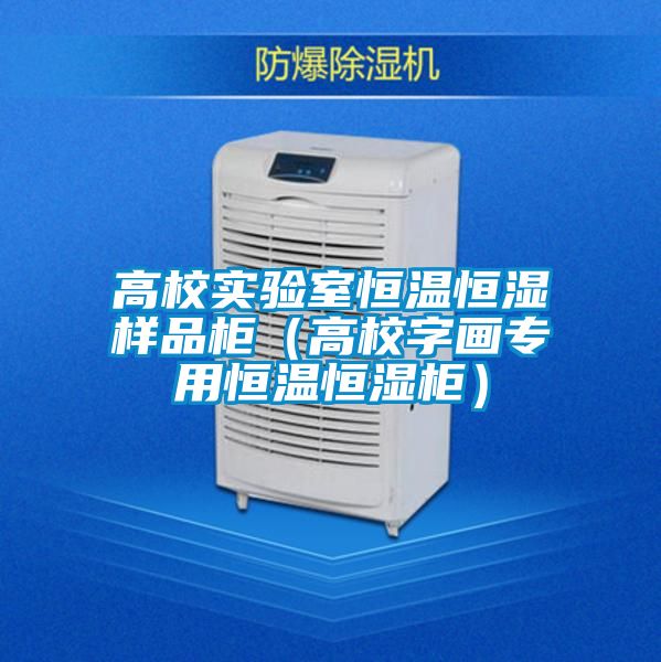高校實驗室恒溫恒濕樣品柜(高校字畫專用恒溫恒濕柜)
