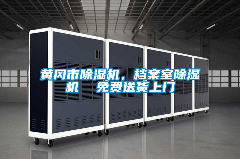 黃岡市除濕機(jī)，檔案室除濕機(jī)  免費(fèi)送貨上門(mén)