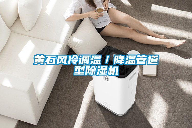 黃石風(fēng)冷調(diào)溫/降溫管道型除濕機(jī)